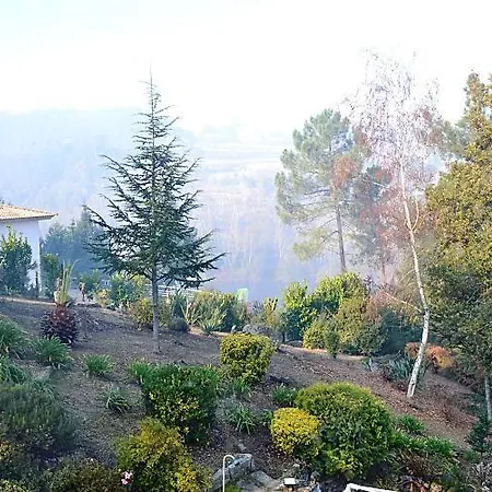 Casa No Marco De Canaveses Varzea Ovelha e Aliviada