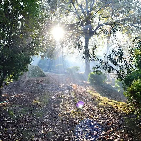 Casa No Marco De Canaveses * Várzea Ovelha e Aliviada