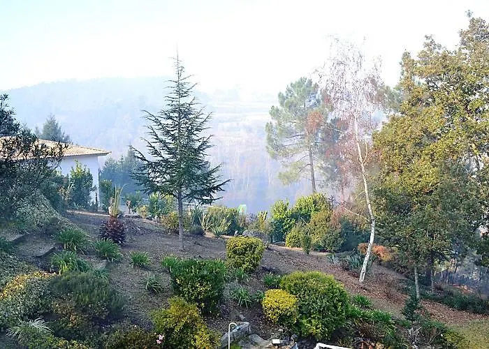 Casa No Marco De Canaveses Várzea Ovelha e Aliviada