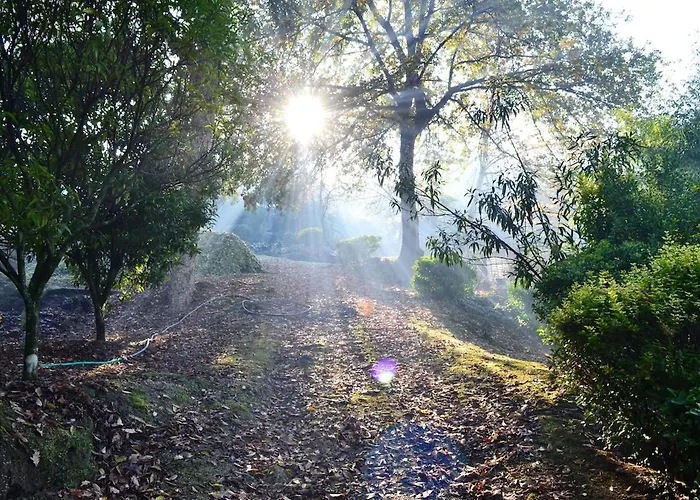 Casa No Marco De Canaveses * Várzea Ovelha e Aliviada
